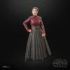 Hasbro Star Wars Black Series Ahsoka #04 Morgan Elsbeth Action Figure -Hasbro 5010996212108c