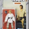 Hasbro Star Wars 40th Anniversary Luke Skywalker ANH 6-inch Action Figure -Hasbro 630509554249 20964.1649531158
