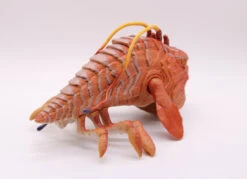 Hasbro Star Wars Phantom Menace Qui-Gon Jinn And Opee (No Package) -Hasbro IMG 5895 06025.1630442801